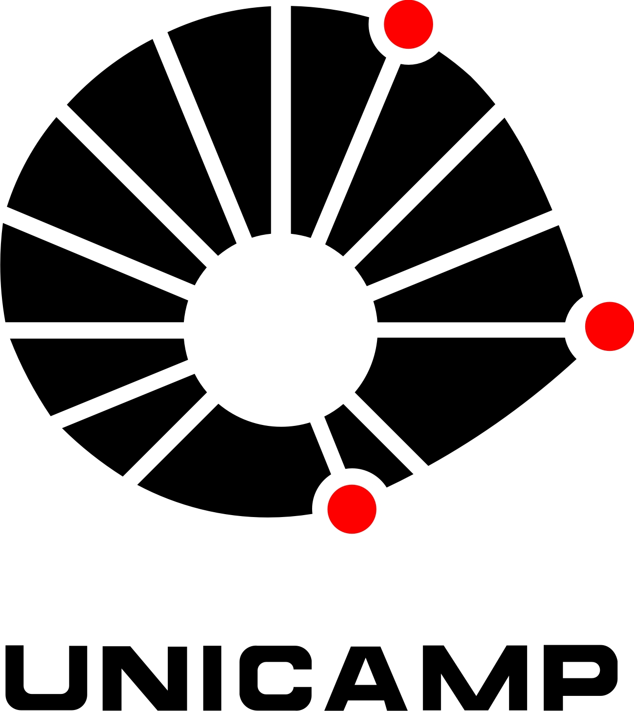 Unicamp - Cliente Projens Engenharia